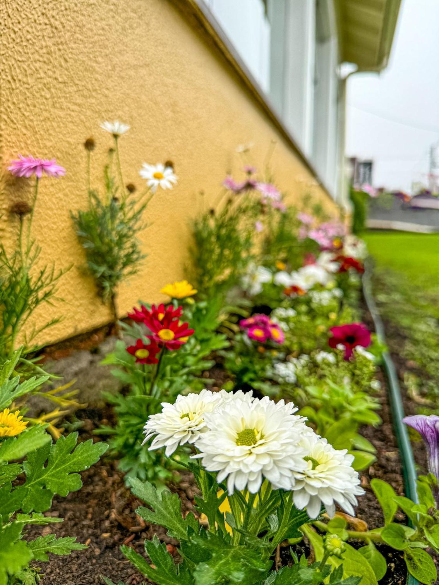 Pousada Serra Valle グラマド エクステリア 写真